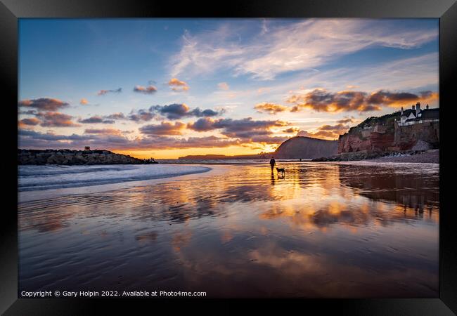 Dog walker at sunset on Sidmouth Beach Framed Print by Gary Holpin
