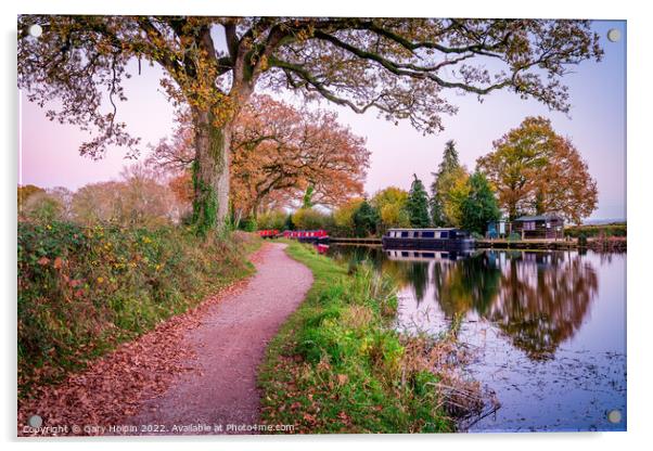 Autumn on the Grand Western Canal Acrylic by Gary Holpin