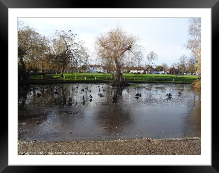 Winter on the Duck  Pond at Writtle Framed Mounted Print by John Bridge