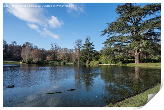 Winter sunshine at Claremont gardens and lake Print by Kevin White
