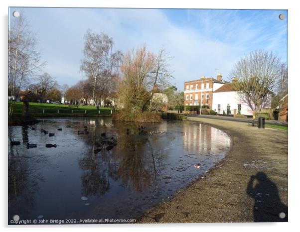 Winter on the Duck  Pond at Writtle Acrylic by John Bridge