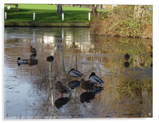 Winter on the Duck  Pond at Writtle Acrylic by John Bridge