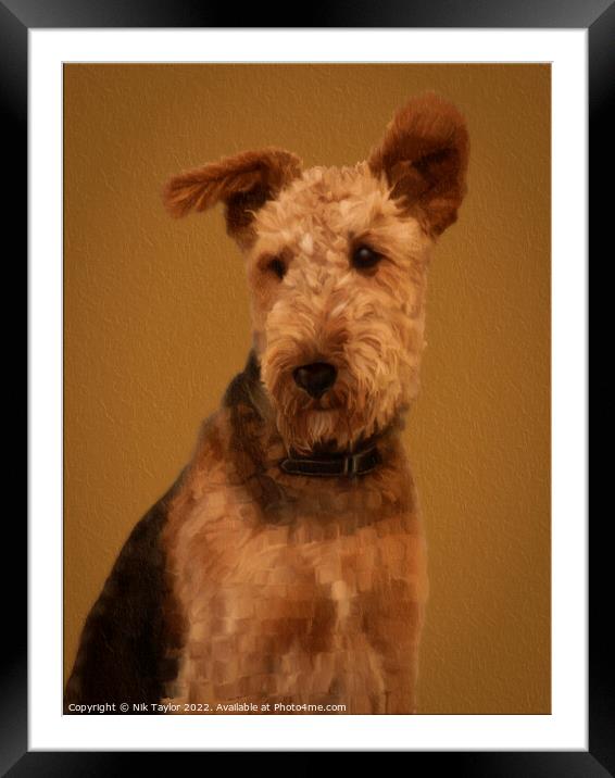 Airedale Terrier Framed Mounted Print by Nik Taylor