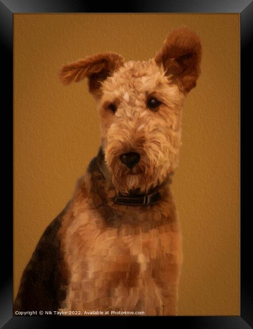 Airedale Terrier Framed Print by Nik Taylor