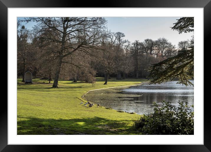 Birds and lake at Claremont Gardens Esher Framed Mounted Print by Kevin White