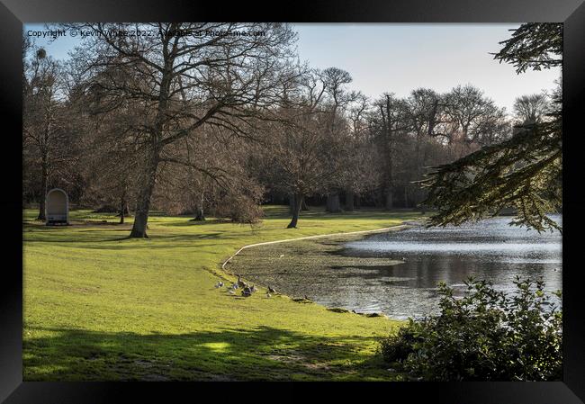 Birds and lake at Claremont Gardens Esher Framed Print by Kevin White