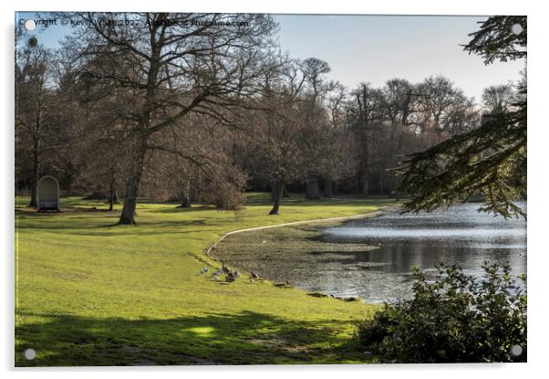 Birds and lake at Claremont Gardens Esher Acrylic by Kevin White