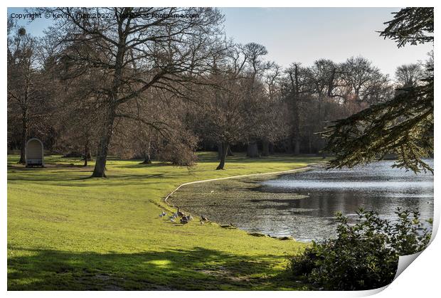 Birds and lake at Claremont Gardens Esher Print by Kevin White