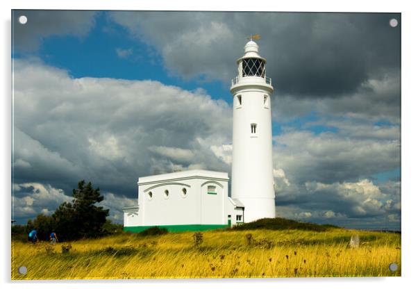 Hurst Point Lighthouse, Hampshire, UK Acrylic by Elzbieta Sosnowski