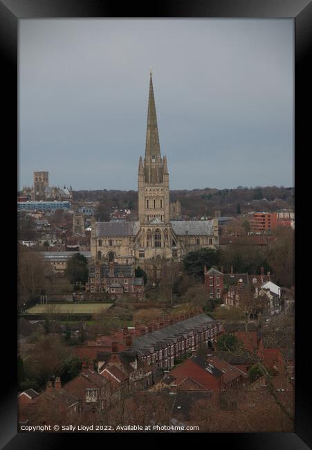 Norwich Cathedral  Framed Print by Sally Lloyd