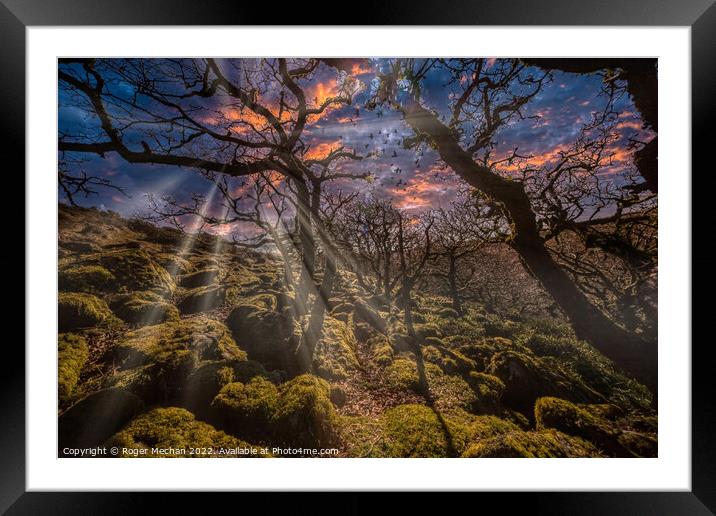 Sunset magic in Wistmans Wood Framed Mounted Print by Roger Mechan