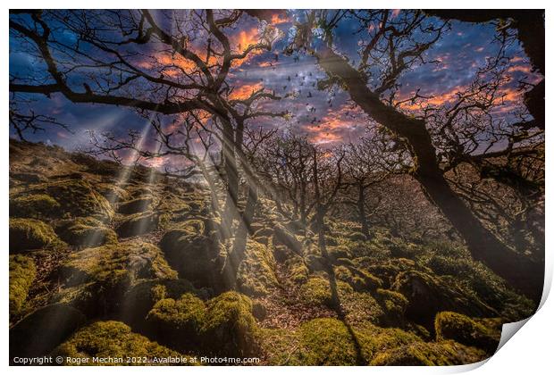 Sunset magic in Wistmans Wood Print by Roger Mechan