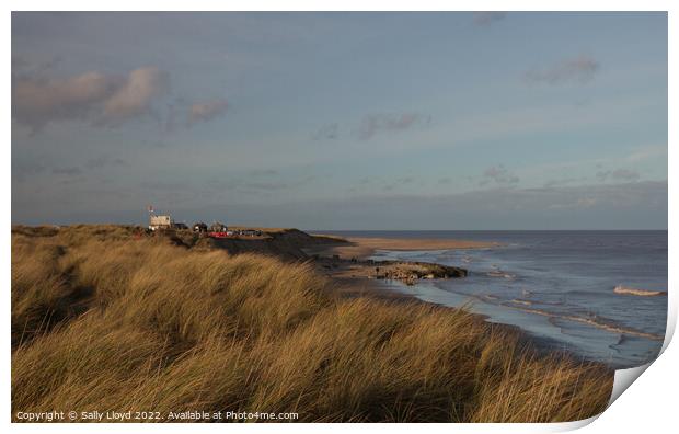 Winterton-on-Sea view to the north Print by Sally Lloyd