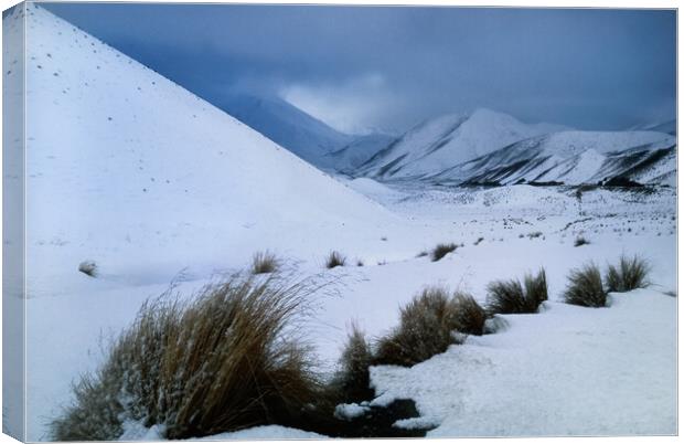 Lindis Pass, South Island, New Zealand Canvas Print by Maggie McCall