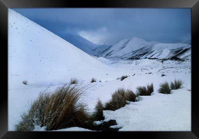 Lindis Pass, South Island, New Zealand Framed Print by Maggie McCall