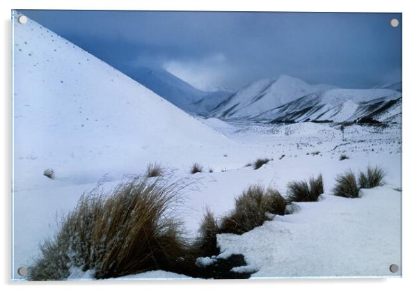 Lindis Pass, South Island, New Zealand Acrylic by Maggie McCall