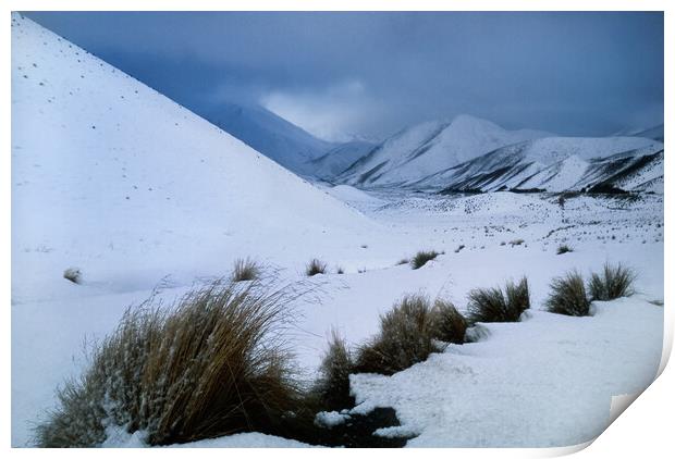 Lindis Pass, South Island, New Zealand Print by Maggie McCall