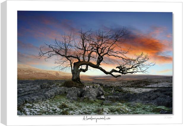 A limestone pavement view Canvas Print by JC studios LRPS ARPS