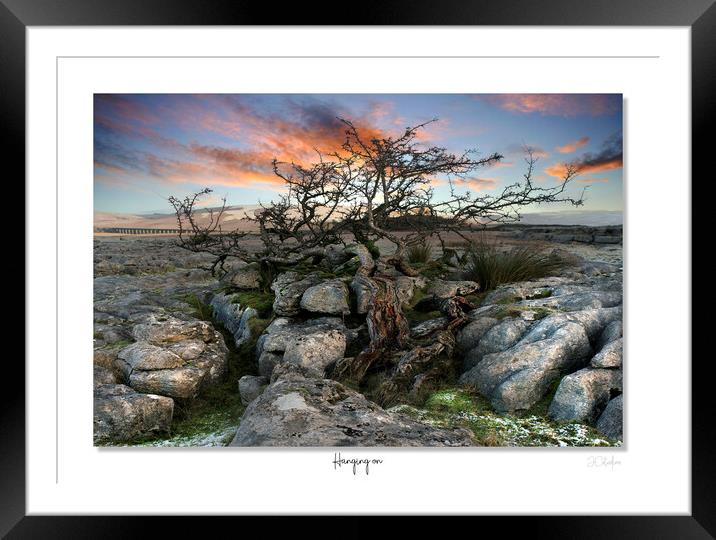 Hanging on.... Framed Mounted Print by JC studios LRPS ARPS