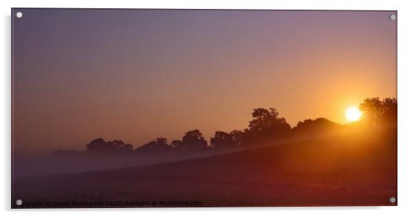 Misty Morning Sunrise  Acrylic by David McGeachie