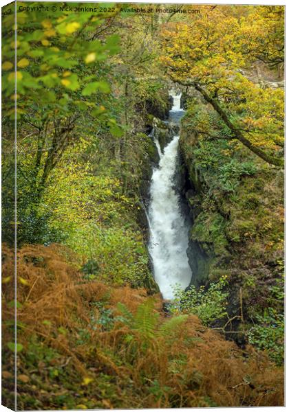 Aira Force Lake District Cumbria Canvas Print by Nick Jenkins