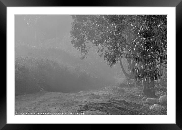 Foggy Paths in Monchique With Monochrome Framed Mounted Print by Angelo DeVal