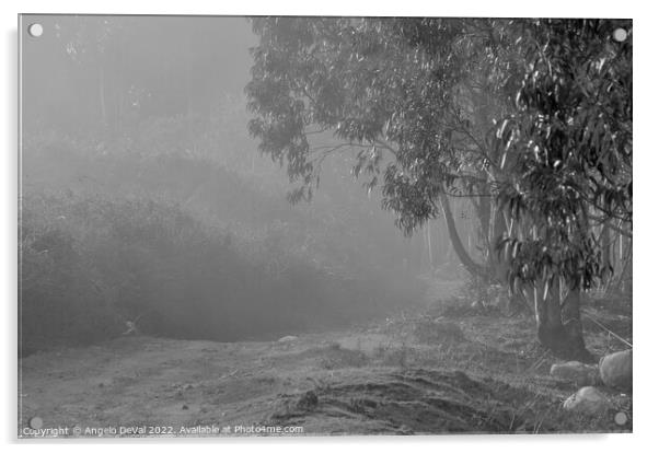 Foggy Paths in Monchique With Monochrome Acrylic by Angelo DeVal
