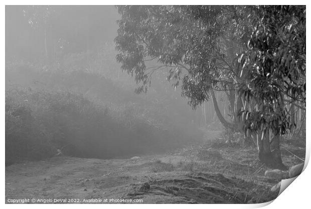 Foggy Paths in Monchique With Monochrome Print by Angelo DeVal