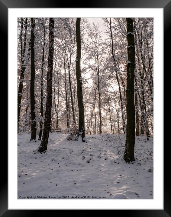 Winter Forest Landscape in Lower Austria Framed Mounted Print by Dietmar Rauscher