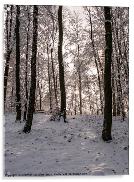 Winter Forest Landscape in Lower Austria Acrylic by Dietmar Rauscher