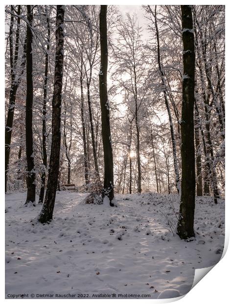 Winter Forest Landscape in Lower Austria Print by Dietmar Rauscher