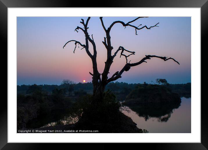 A Dry tree Framed Mounted Print by Bhagwat Tavri