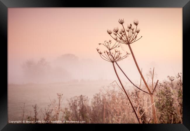 Foggy dawn in the Fens Framed Print by Bruce Little