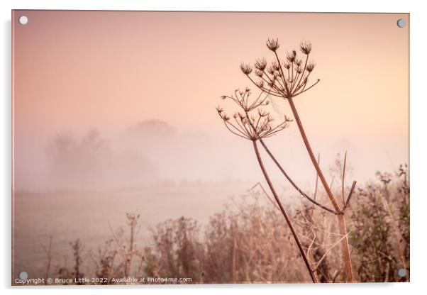 Foggy dawn in the Fens Acrylic by Bruce Little