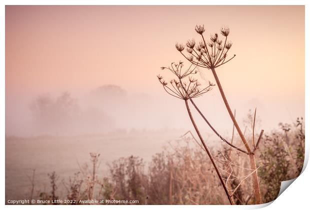 Foggy dawn in the Fens Print by Bruce Little