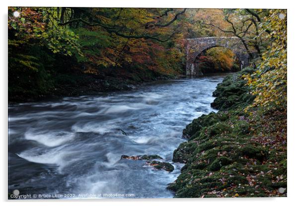 River Dart at Holne Bridge Acrylic by Bruce Little