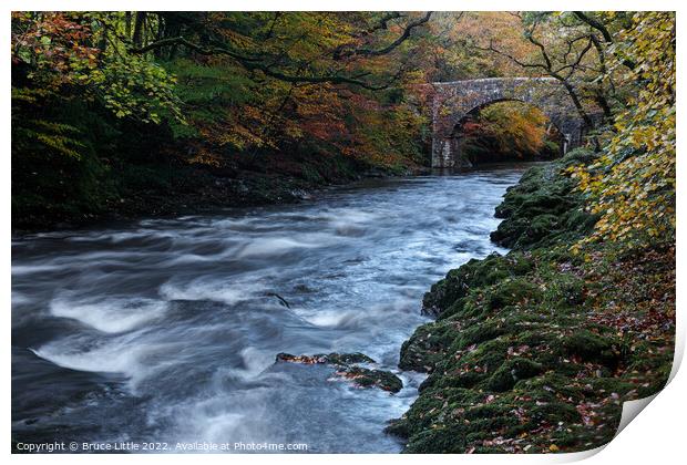 River Dart at Holne Bridge Print by Bruce Little