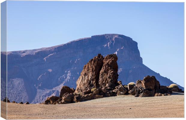 Volcanic landscape Tenerife Canvas Print by Phil Crean