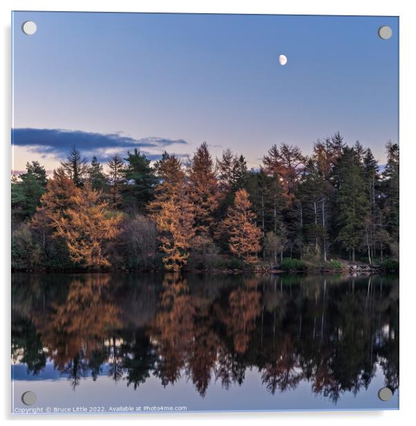 Enchanting Moonrise over Still Waters Acrylic by Bruce Little