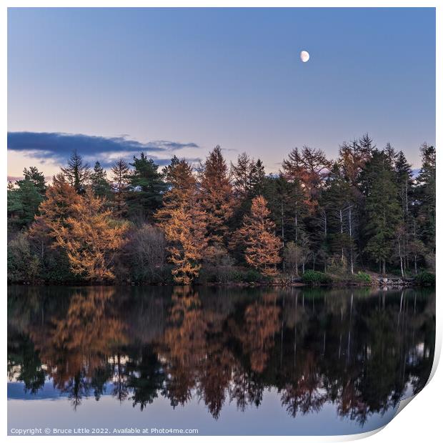 Enchanting Moonrise over Still Waters Print by Bruce Little