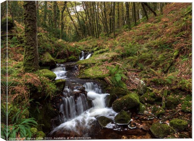 Venford Brook in Dartmoor Canvas Print by Bruce Little