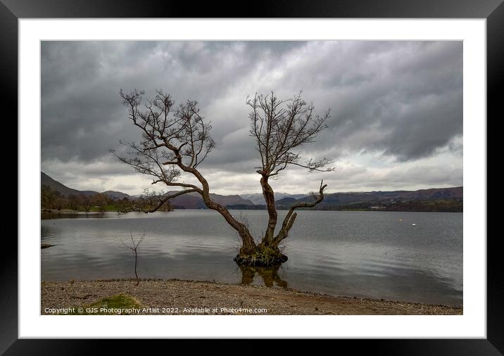 The Tree In Ullswater  Framed Mounted Print by GJS Photography Artist