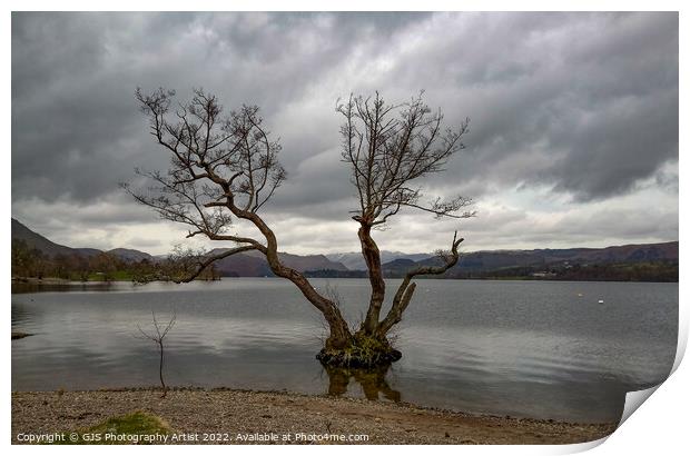 The Tree In Ullswater  Print by GJS Photography Artist