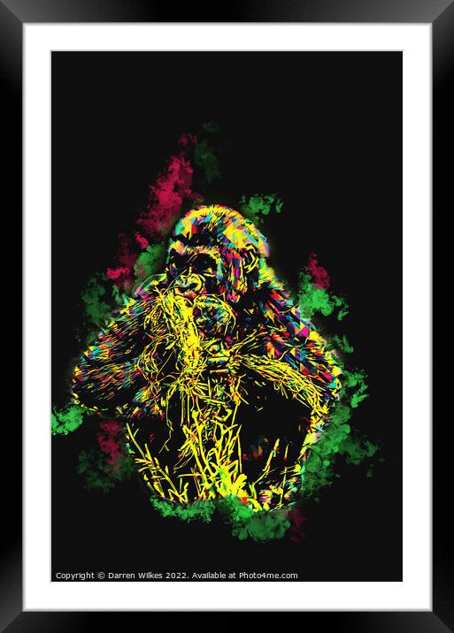 Gorilla Art Framed Mounted Print by Darren Wilkes
