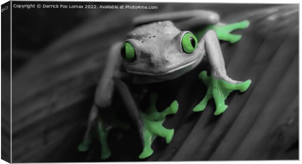  The Tree frog Canvas Print by Derrick Fox Lomax