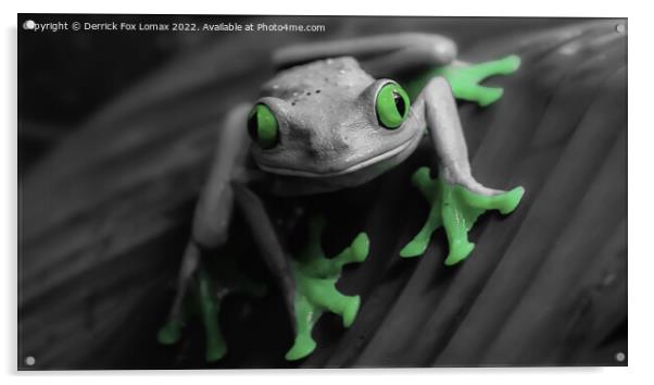  The Tree frog Acrylic by Derrick Fox Lomax
