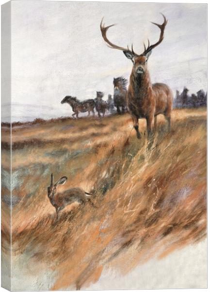 Majestic Exmoor Wildlife Canvas Print by graham young