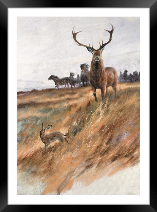 Majestic Exmoor Wildlife Framed Mounted Print by graham young