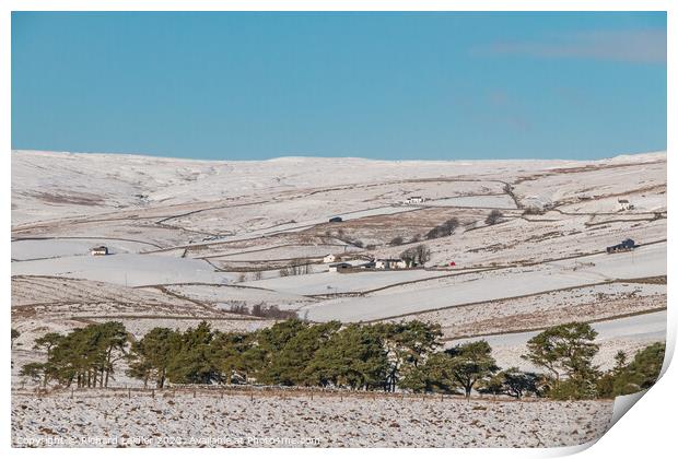 Towards Lingy Hill, Harwood in Snow Print by Richard Laidler