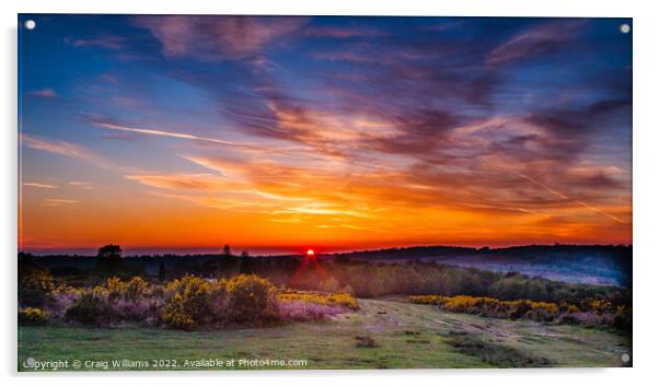 Sunset over Ashdown Forest Acrylic by Craig Williams